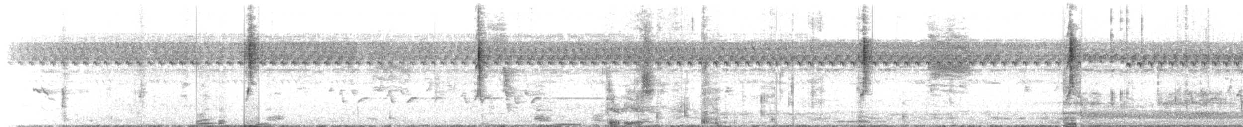 Connecticut Warbler - ML642485372