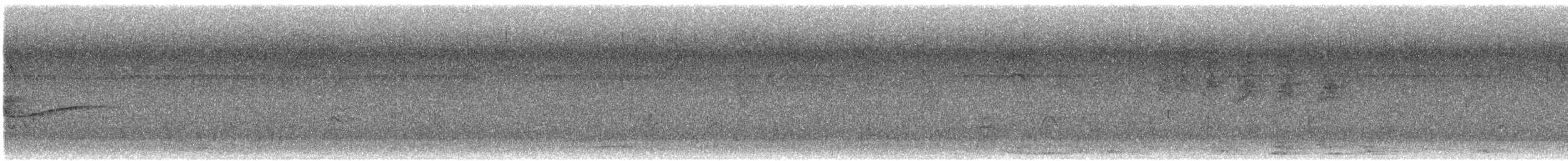 メジロヒメモズモドキ - ML642485615