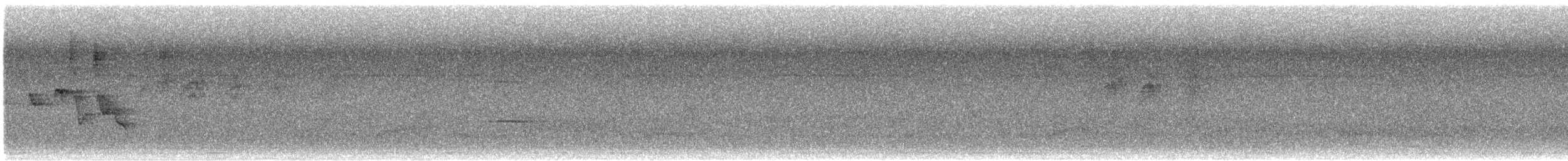 メジロヒメモズモドキ - ML642485752