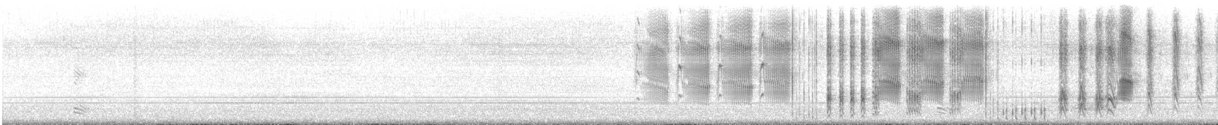 Boat-tailed Grackle (torreyi/alabamensis) - ML642485987