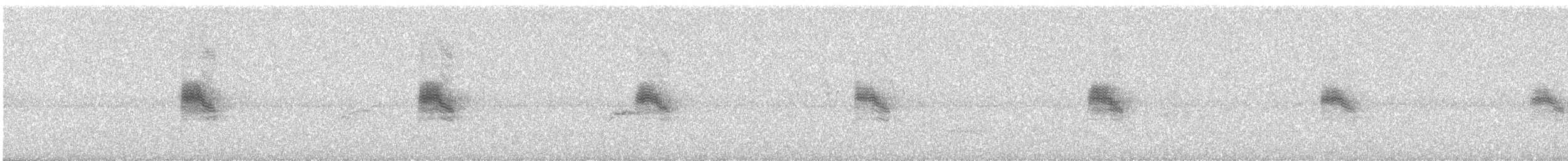 Common Nighthawk - ML642486966