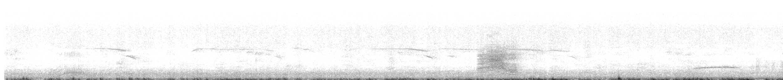 Caspian Tern - ML642487431
