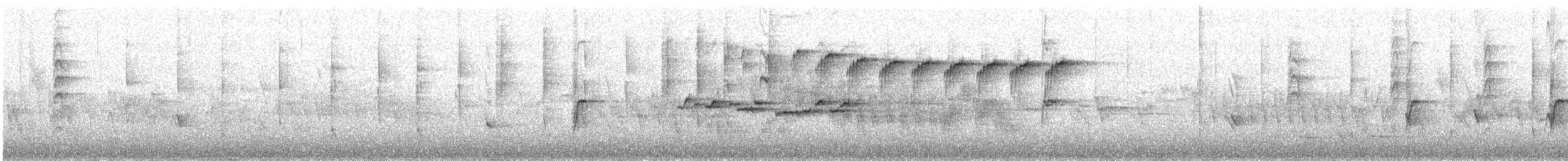 New Zealand Fantail - ML642489218