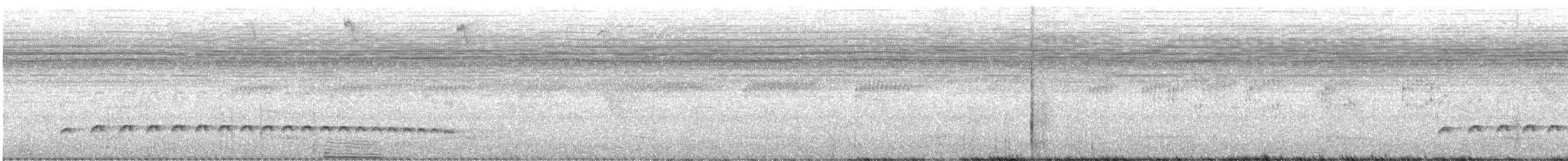 Spot-crowned Antvireo - ML642489997