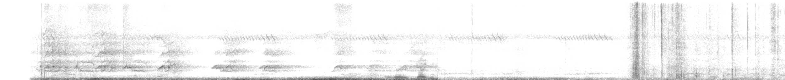 datel břidlicový - ML642490174
