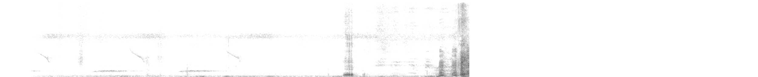 barbet čárkovaný - ML642490179