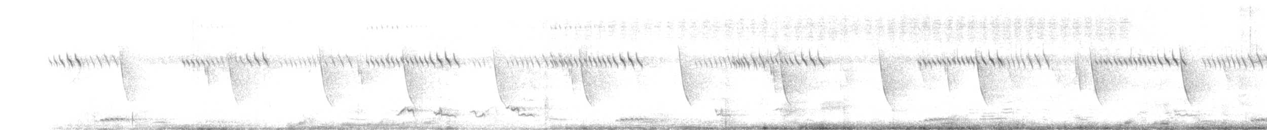 barbet čárkovaný - ML642490180