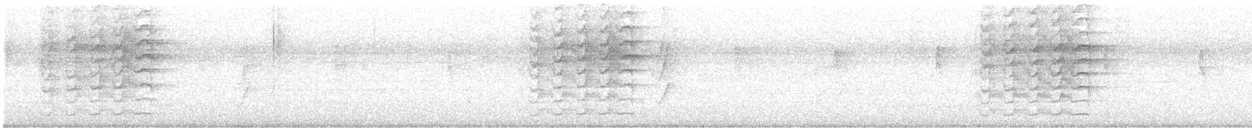 Tyran pitangua - ML642490526