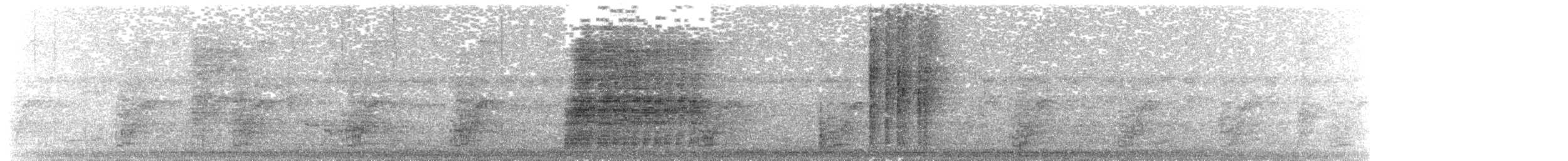 Jejenero Ventrinegro - ML642491189