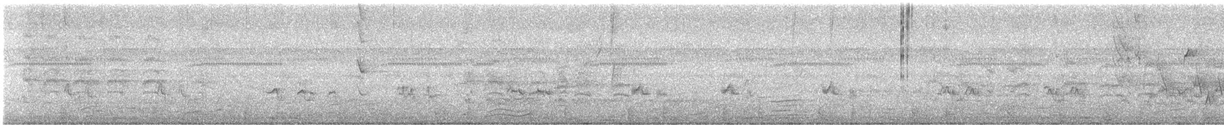 ハシグロムジツグミ - ML642491812