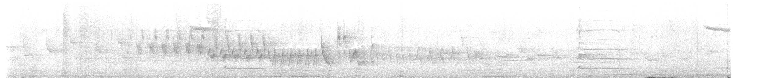 Pic noir - ML642491845