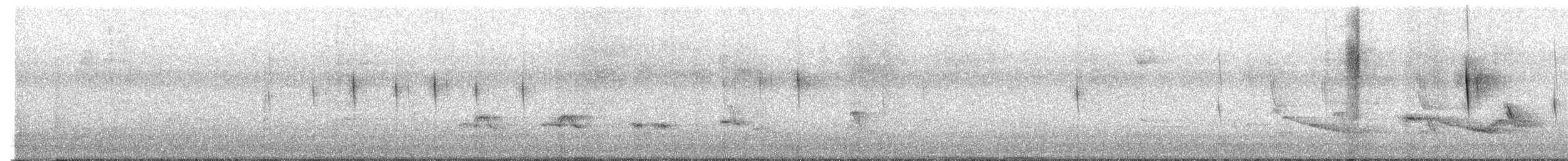 Chimney Swift - ML642492193