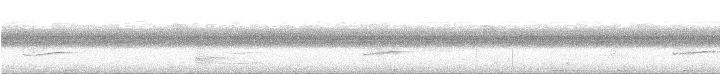 Hellbauch-Schnäppertyrann - ML642492574