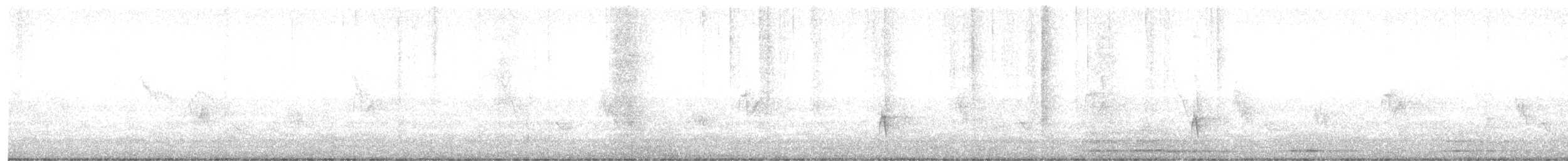 Rufous-bellied Thrush - ML642493329