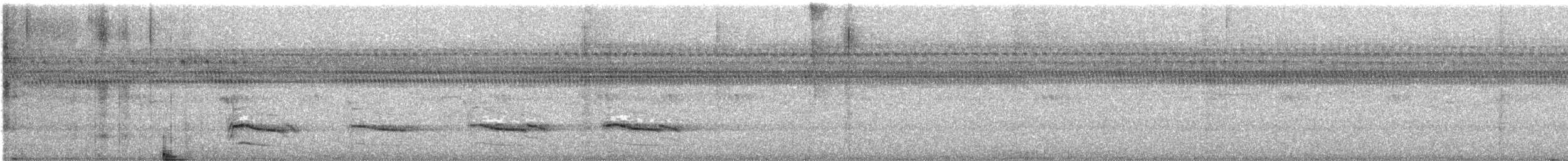 Red-shouldered Hawk - ML642493502