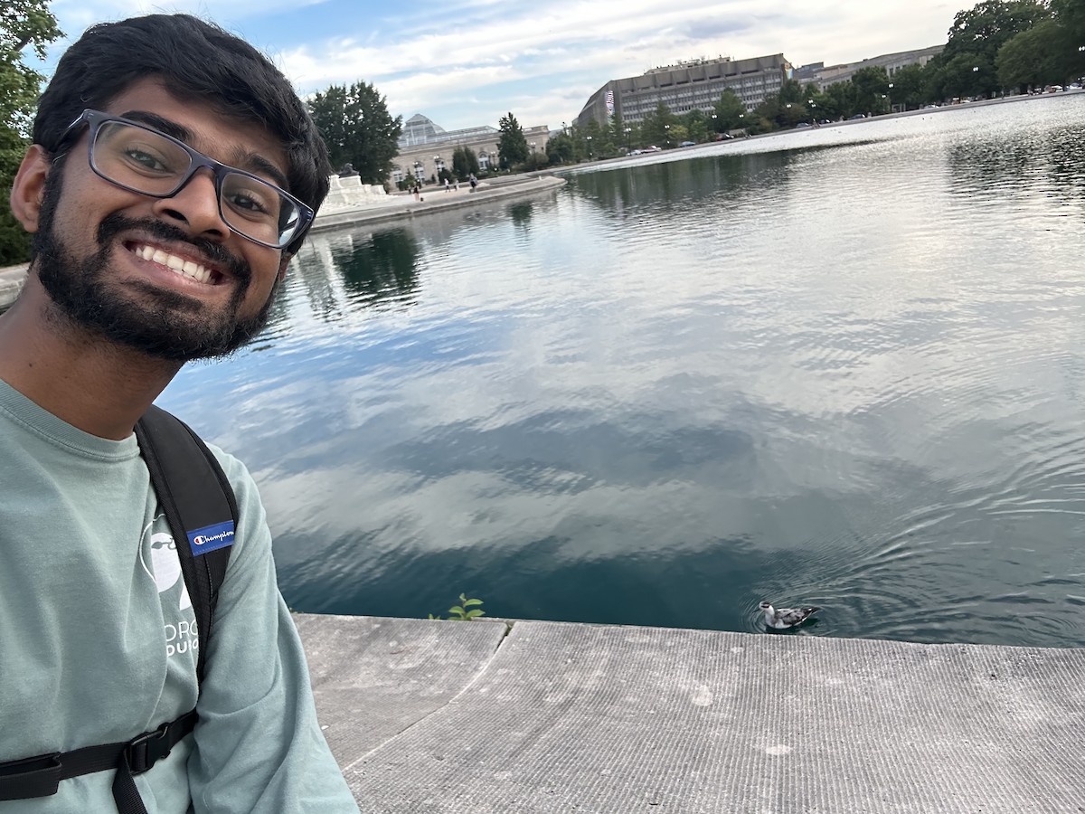 ハイイロヒレアシシギ - ML642496493