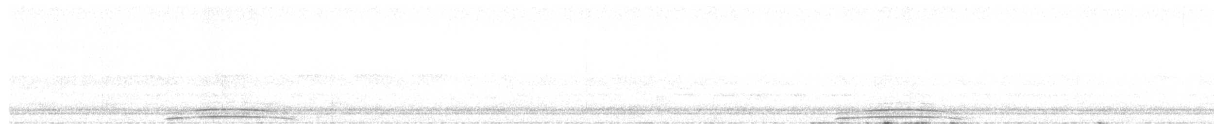 puštík proměnlivý - ML642499508