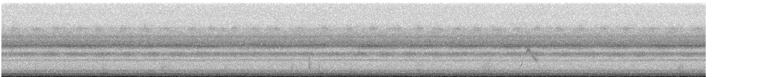 Gray-cheeked Thrush - ML642503320