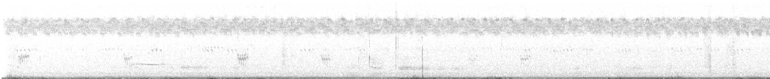Piovanello pettorale - ML642503510