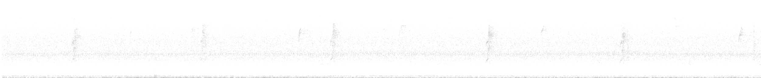 Connecticut Warbler - ML642504663