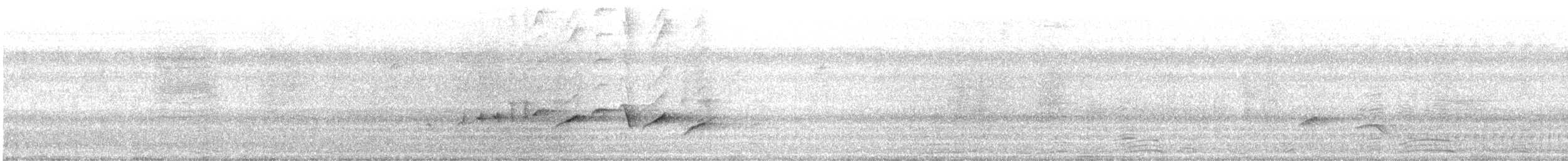 Black-headed Cuckooshrike - ML642505193
