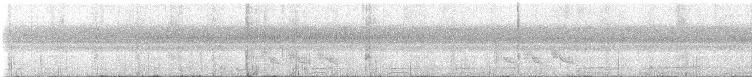 Carolina Wren - ML642505377