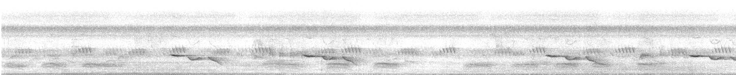 Common Iora - ML642505736