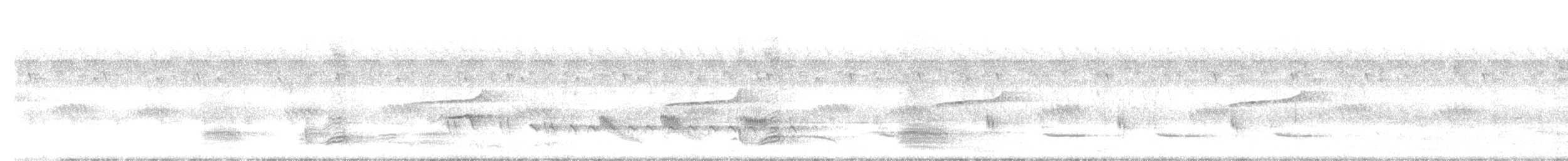 drongo šedobřichý - ML642506347