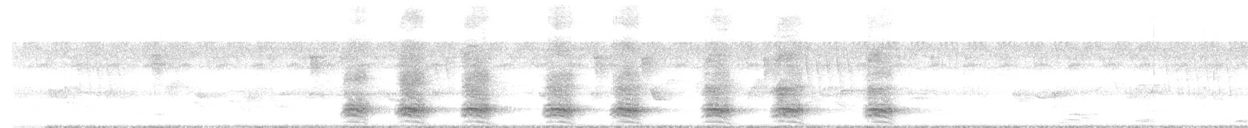 vrána tlustozobá - ML642507361