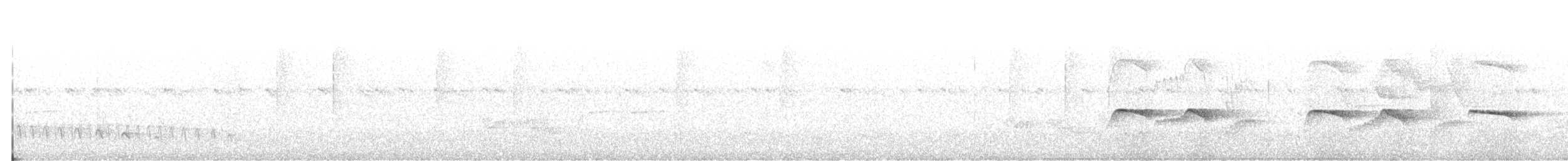 Southern Antpipit - ML642507380