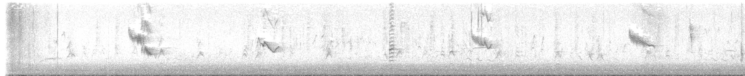 ハゴロモガラス（phoeniceus グループ） - ML642509652