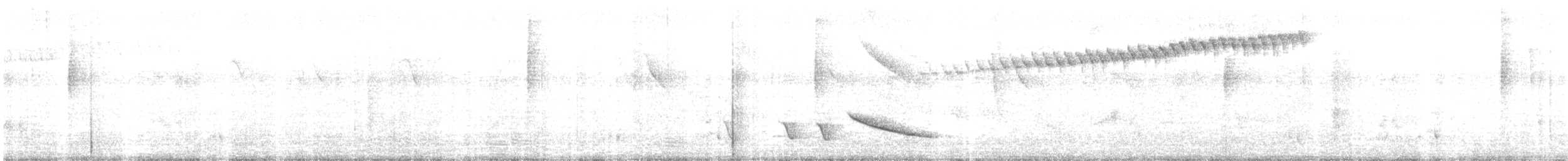 Bluish-gray Saltator - ML642510281