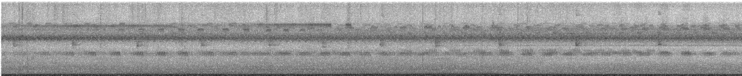 Paruline des ruisseaux - ML642511921