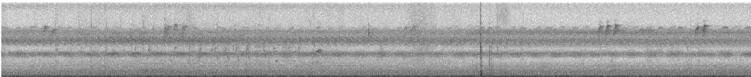 Northern House Wren - ML642511965