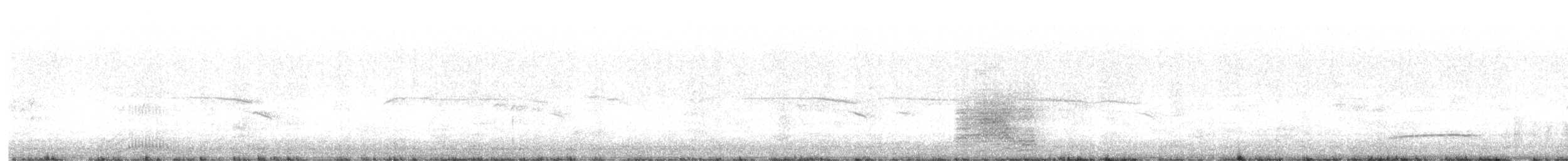 Gadwall - ML642512279