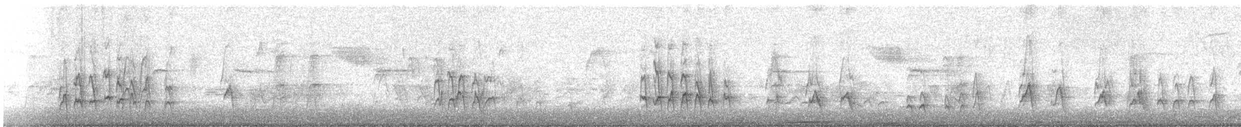 Wanderdrossel - ML642513931