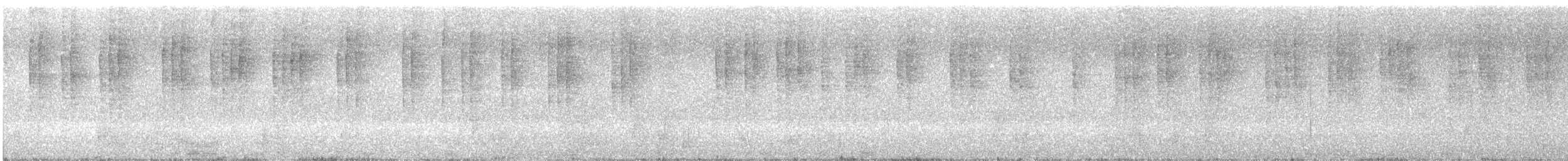Banded Wren - ML642514332