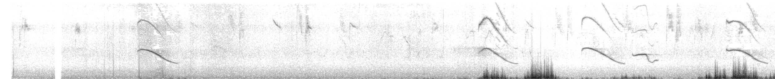 Horsfield's Bronze-Cuckoo - ML642514724