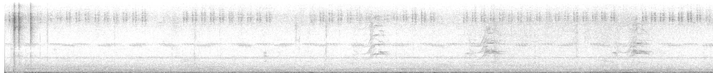 לילית מצויה - ML642516877