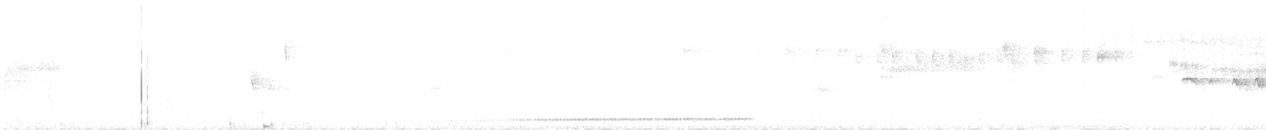 White-breasted Tapaculo - ML642520158