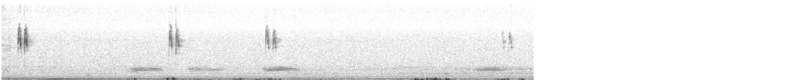 Bergeronnette grise - ML642520724