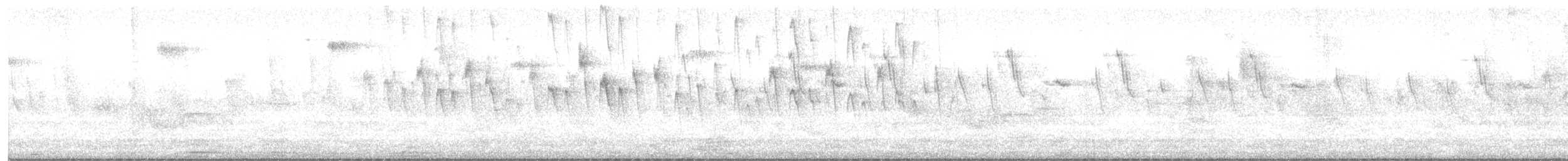 Sick's Swift - ML642520757