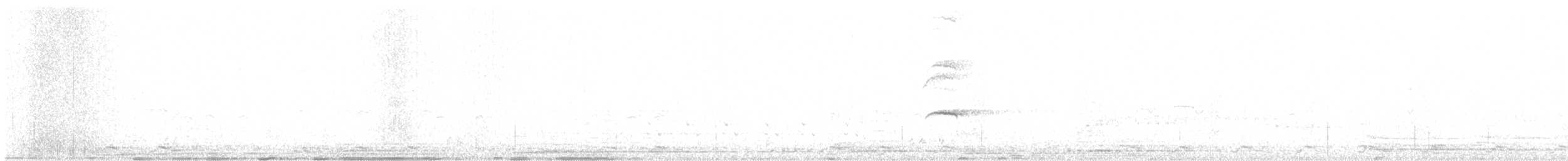 White-breasted Waterhen - ML642521187