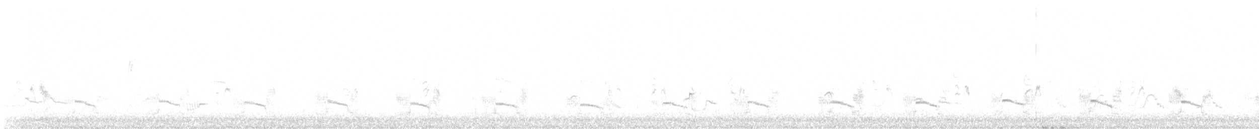 コチドリ - ML642521356
