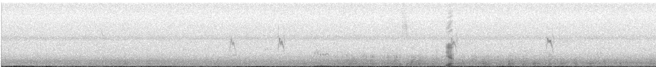 Pipit de Richard - ML642521364