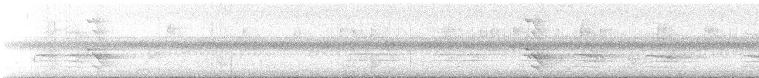 ハシボソキツツキ - ML642523782