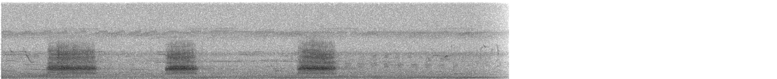 Ібіс молуцький - ML64252431