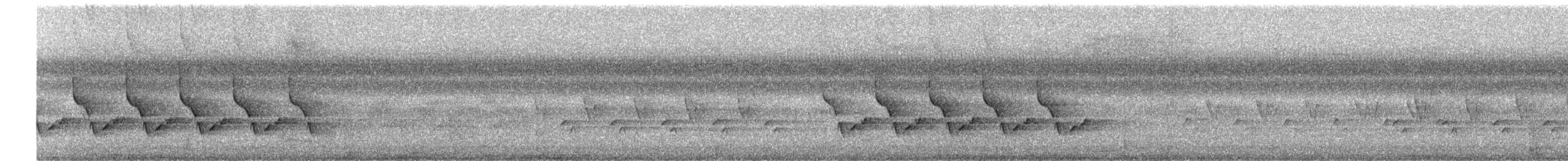 Carolina Wren - ML642526465