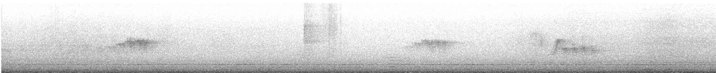 Codirosso spazzacamino - ML642526795