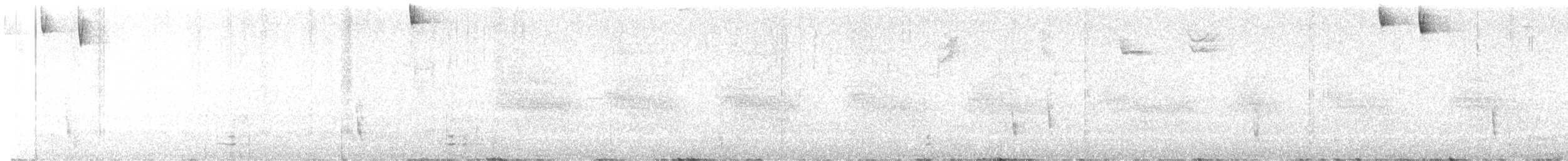 Hermit Thrush - ML642527193